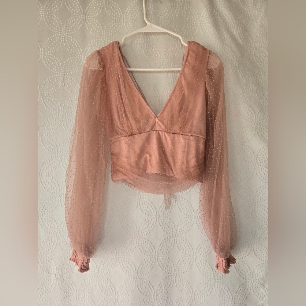 Fairy Cottagecore Whimsical Crop Top Windsor Blush V-Neck Sheer Sleeve Blouse  S